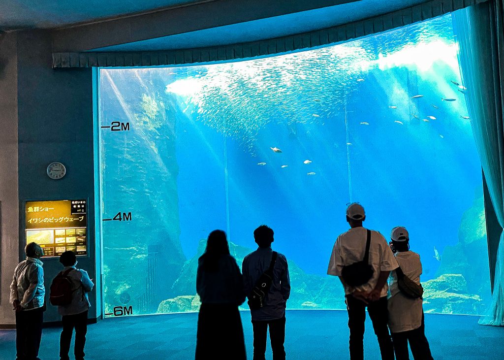 のとじま水族館　イワシのビッグウェーブ