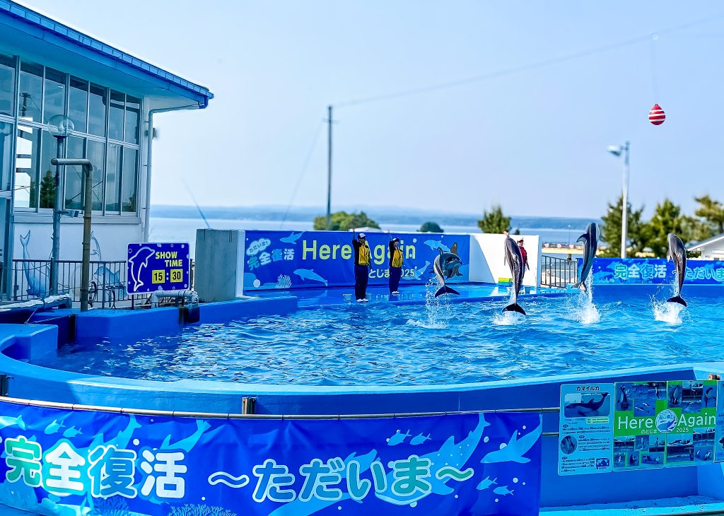 のとじま水族館　イルカショー